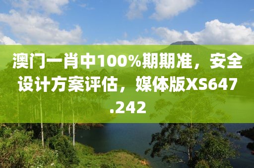 澳门一肖中100%期期准，安全设计方案评估，媒体版XS647.242