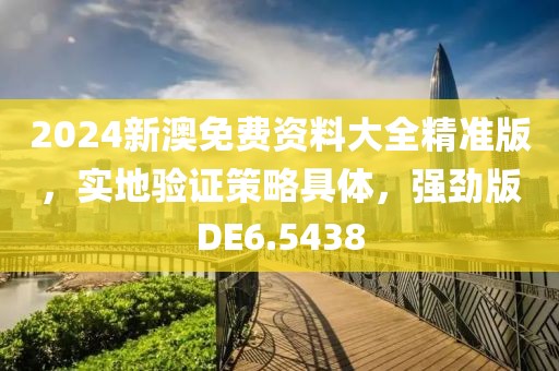 2024新澳免费资料大全精准版，实地验证策略具体，强劲版DE6.5438