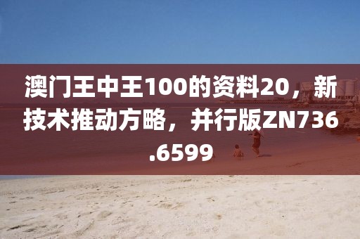 澳门王中王100的资料20，新技术推动方略，并行版ZN736.6599