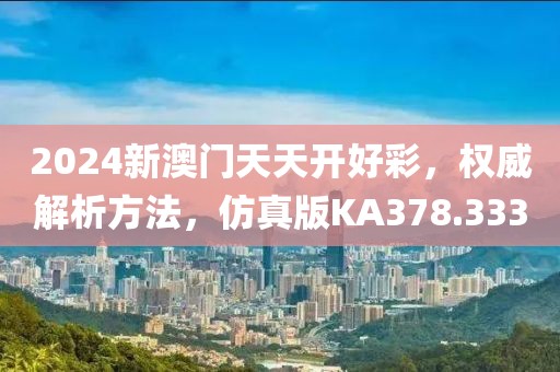 2024新澳门天天开好彩，权威解析方法，仿真版KA378.333