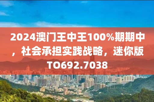 2024澳门王中王100%期期中，社会承担实践战略，迷你版TO692.7038