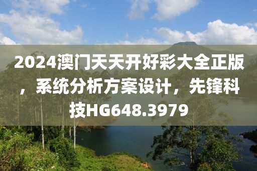 2024澳门天天开好彩大全正版，系统分析方案设计，先锋科技HG648.3979
