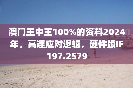 澳门王中王100%的资料2024年，高速应对逻辑，硬件版IF197.2579