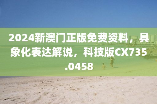 2024新澳门正版免费资料，具象化表达解说，科技版CX735.0458