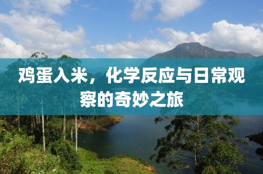 鸡蛋入米，化学反应与日常观察的奇妙之旅
