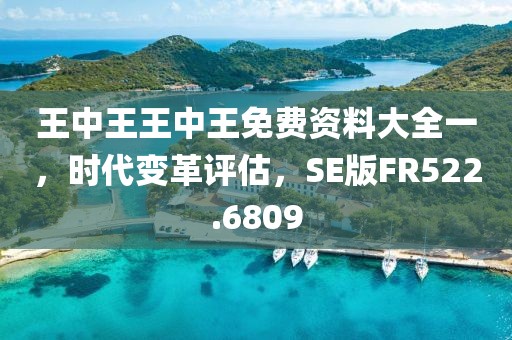 王中王王中王免费资料大全一，时代变革评估，SE版FR522.6809