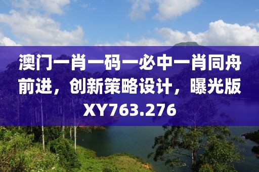 澳门一肖一码一必中一肖同舟前进，创新策略设计，曝光版XY763.276