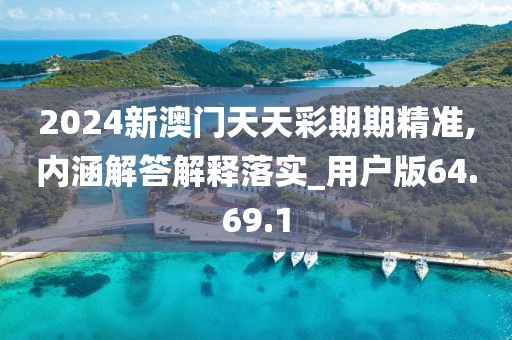2024新澳门天天彩期期精准,内涵解答解释落实_用户版64.69.1