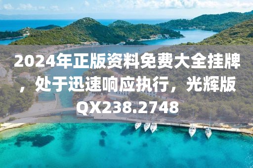 2024年正版资料免费大全挂牌，处于迅速响应执行，光辉版QX238.2748