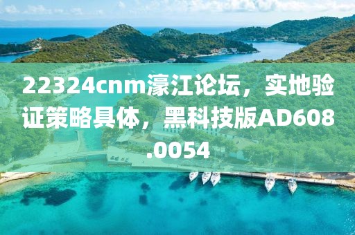 22324cnm濠江论坛，实地验证策略具体，黑科技版AD608.0054