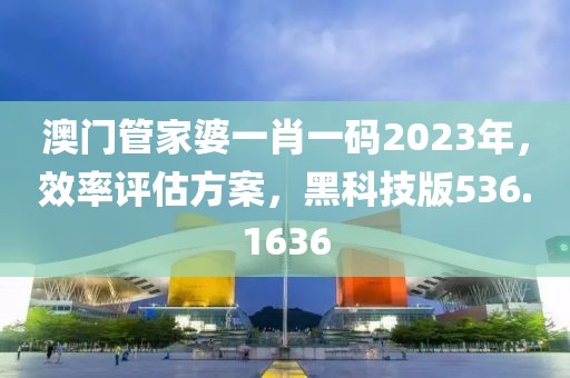 澳门管家婆一肖一码2023年，效率评估方案，黑科技版536.1636