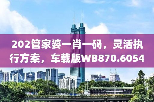 202管家婆一肖一码，灵活执行方案，车载版WB870.6054