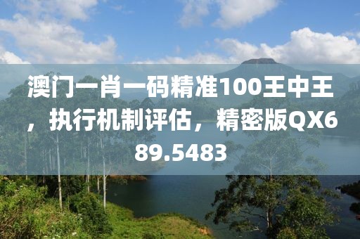 澳门一肖一码精准100王中王，执行机制评估，精密版QX689.5483