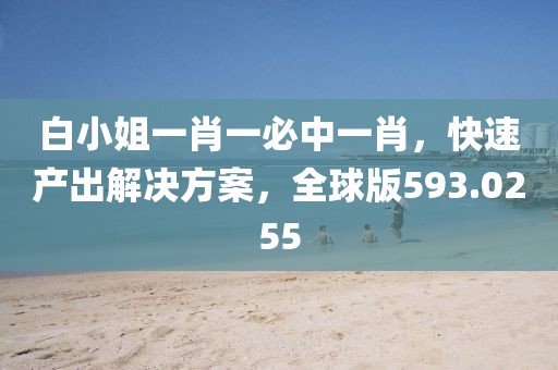 白小姐一肖一必中一肖，快速产出解决方案，全球版593.0255