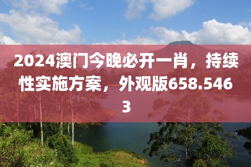 2024澳门今晚必开一肖，持续性实施方案，外观版658.5463