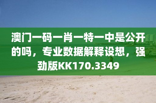 澳门一码一肖一特一中是公开的吗，专业数据解释设想，强劲版KK170.3349