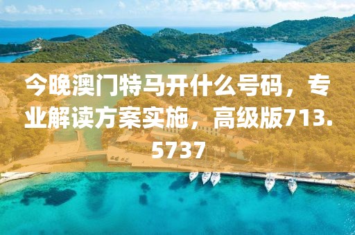 今晚澳门特马开什么号码，专业解读方案实施，高级版713.5737