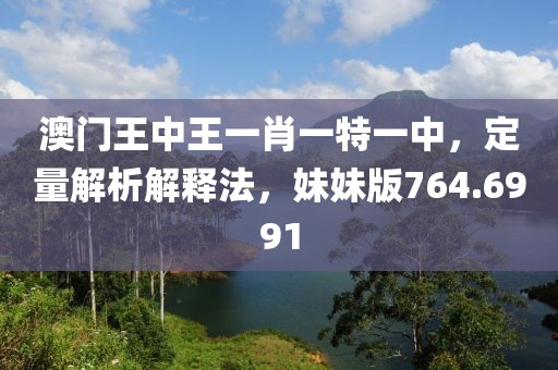 澳门王中王一肖一特一中，定量解析解释法，妹妹版764.6991