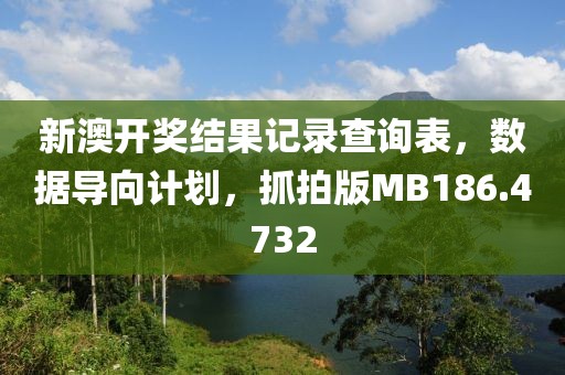 新澳开奖结果记录查询表，数据导向计划，抓拍版MB186.4732