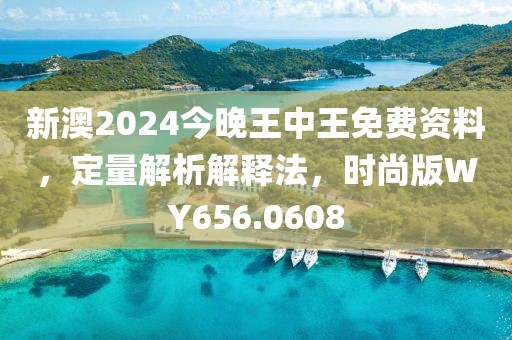 新澳2024今晚王中王免费资料，定量解析解释法，时尚版WY656.0608