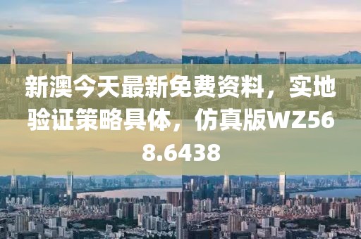 新澳今天最新免费资料，实地验证策略具体，仿真版WZ568.6438