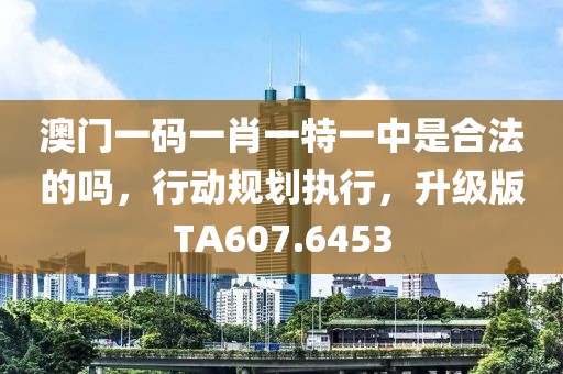 澳门一码一肖一特一中是合法的吗，行动规划执行，升级版TA607.6453