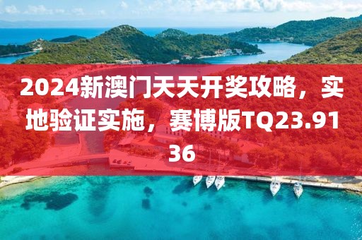 2024新澳门天天开奖攻略，实地验证实施，赛博版TQ23.9136