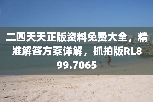 二四天天正版资料免费大全，精准解答方案详解，抓拍版RL899.7065