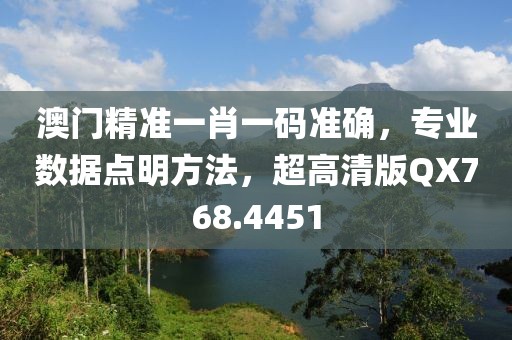 澳门精准一肖一码准确，专业数据点明方法，超高清版QX768.4451