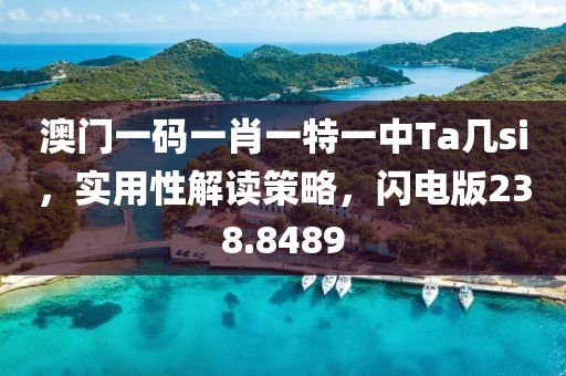澳门一码一肖一特一中Ta几si，实用性解读策略，闪电版238.8489
