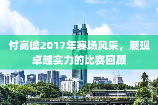 付高峰2017年赛场风采，展现卓越实力的比赛回顾