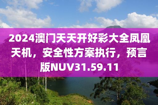 2024澳门天天开好彩大全凤凰天机，安全性方案执行，预言版NUV31.59.11