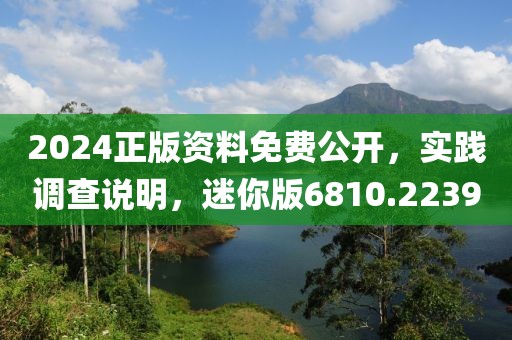 2024正版资料免费公开，实践调查说明，迷你版6810.2239