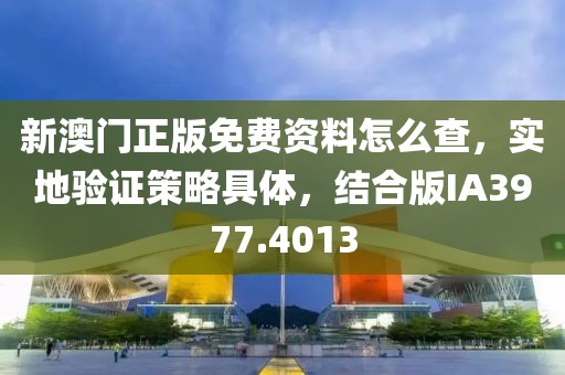 新澳门正版免费资料怎么查，实地验证策略具体，结合版IA3977.4013