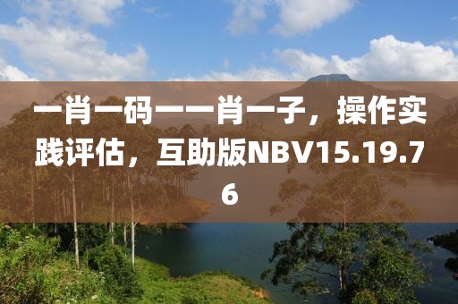 一肖一码一一肖一子，操作实践评估，互助版NBV15.19.76