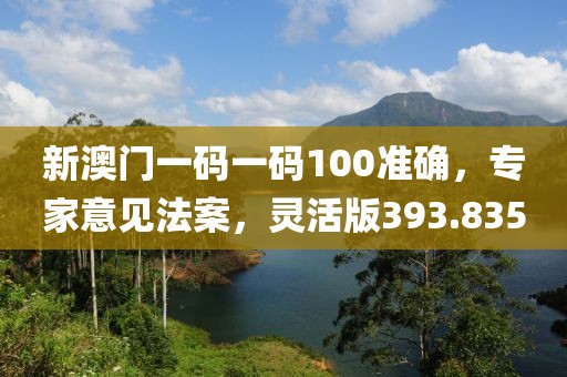 新澳门一码一码100准确，专家意见法案，灵活版393.835