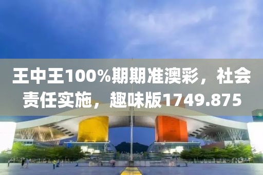 王中王100%期期准澳彩，社会责任实施，趣味版1749.875