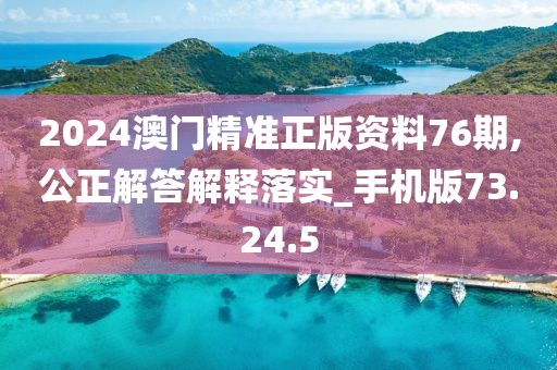 2024澳门精准正版资料76期,公正解答解释落实_手机版73.24.5