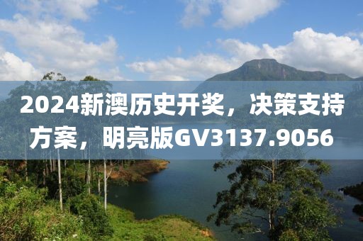 2024新澳历史开奖，决策支持方案，明亮版GV3137.9056