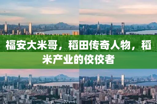 福安大米哥，稻田传奇人物，稻米产业的佼佼者