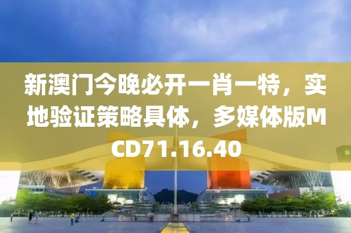 新澳门今晚必开一肖一特，实地验证策略具体，多媒体版MCD71.16.40
