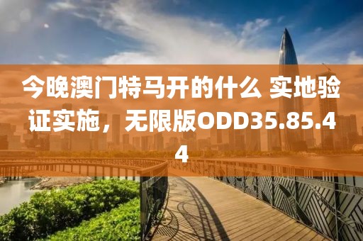 今晚澳门特马开的什么 实地验证实施，无限版ODD35.85.44
