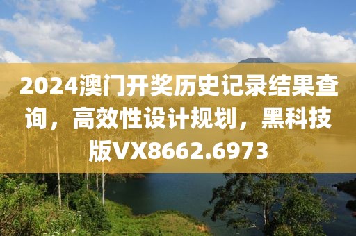 2024澳门开奖历史记录结果查询，高效性设计规划，黑科技版VX8662.6973