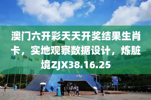 澳门六开彩天天开奖结果生肖卡，实地观察数据设计，炼脏境ZJX38.16.25