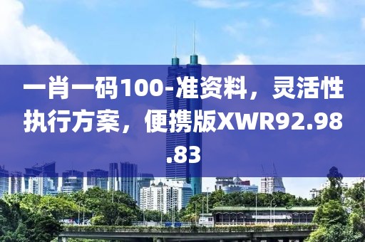 一肖一码100-准资料，灵活性执行方案，便携版XWR92.98.83