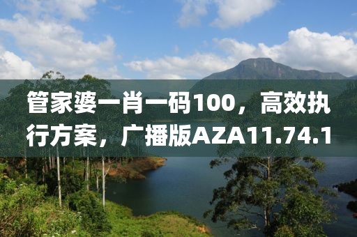 管家婆一肖一码100，高效执行方案，广播版AZA11.74.1