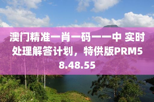 澳门精准一肖一码一一中 实时处理解答计划，特供版PRM58.48.55
