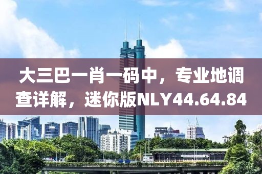 大三巴一肖一码中，专业地调查详解，迷你版NLY44.64.84