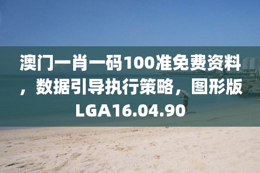 澳门一肖一码100准免费资料，数据引导执行策略，图形版LGA16.04.90