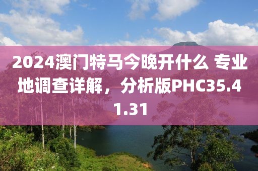 2024澳门特马今晚开什么 专业地调查详解，分析版PHC35.41.31